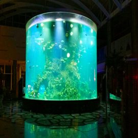 çini xüsusi ucuz super böyük dəyirmi pmma şüşə akvariumlar təmiz silindrli akril balıq tankları