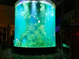 çini xüsusi ucuz super böyük dəyirmi pmma şüşə akvariumlar təmiz silindrli akril balıq tankları