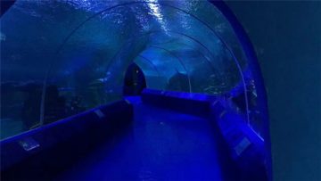 Aquarium Tunnel üçün 180 və ya 90 dərəcə Akril Panellər