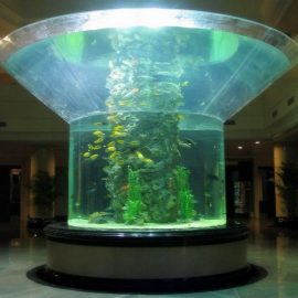 pmma şüşə akvarium yarım silindrli perspex təmiz balıq tankı