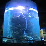akvariumlar və ya okean parkı üçün açıq akril silindrli böyük balıq tankı