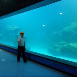 Dəsmalı divar akvarium / okeanarium üçün UV akril panel