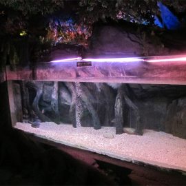 Sualtı dəniz dünyası üçün akrilik havuz paneli / pəncərə