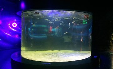 Akril balıq tankı