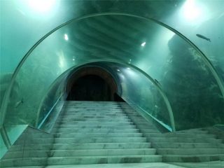 Akril tunel akvarium layihəsi qiyməti