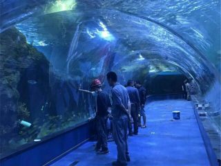 Akvarium akvariumlarında akril tunel okeanerium layihəsi