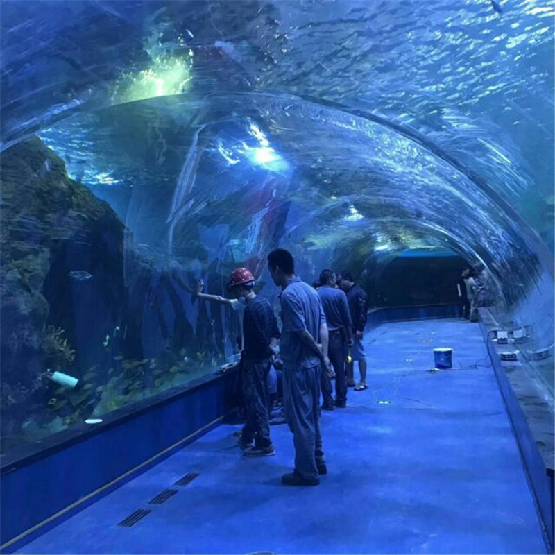 Akvarium akvariumlarında akril tunel okeanerium layihəsi