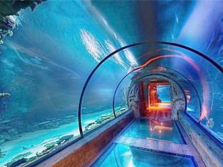 Müasir dizayn akril akvarium uzun tunel