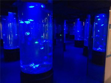akril denizanası akvarium tankı şüşə