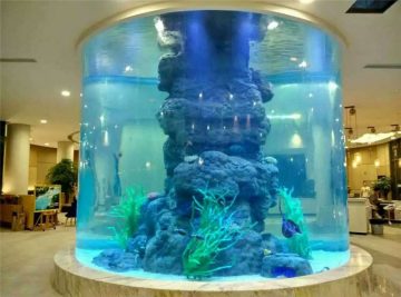 kristal balıq tankı