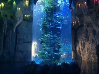 Böyük akvarium, balıq tankları üçün şəffaf akril panellər